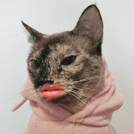 Madam Query Github - Premium City Wallpaper Gallery - 4K