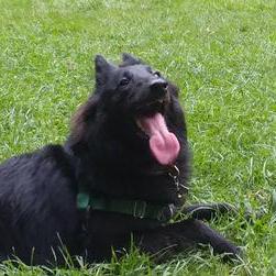 Lostdragonist Lostdragonist Github - Dark Wallpaper Collection - High Resolution Quality