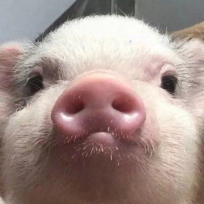 Natakuvsh Natalia Zharikova Github - Abstract Image Collection - High Resolution Quality