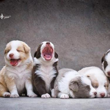 Https Baidu Github Io Amis Docs Renderers Crud List - Ultra HD HD Landscape Arts | Free Download