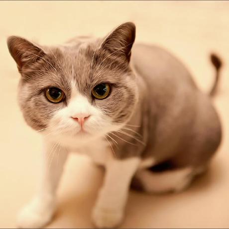 Github Alex Li2018 Xiaofengche Project - Download Modern Gradient Wallpaper | Ultra HD