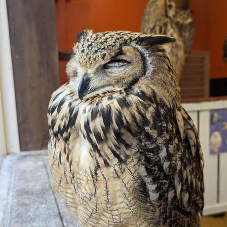 Ishii H Union Ishii H Github - High Resolution Vintage Arts for Desktop