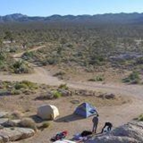 Simic Dev Github - Best Dark Backgrounds in 8K