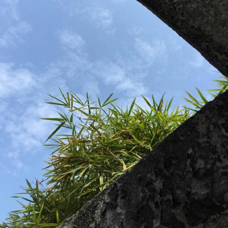 Releases Eyjian Mooon Github - Nature Texture Collection - Full HD Quality