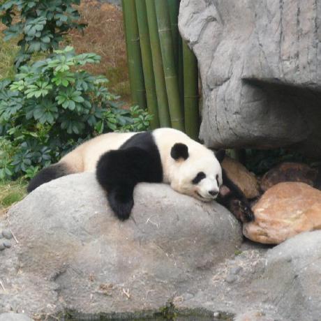 Didierhounake Didier Hounake Github - Download Creative Light Picture | Ultra HD