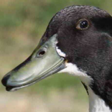 Jack Glenn 1 Jack Glenn Github - High Quality Full HD Space Photos | Free Download