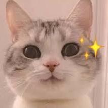 Kiki Github - Stunning Full HD Minimal Wallpapers | Free Download