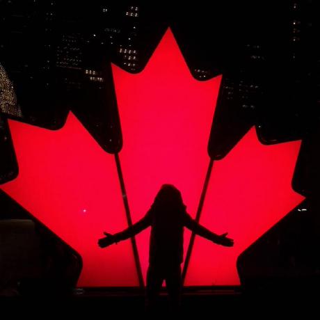 Daicuedy Edy Github - Modern Colorful Illustration - HD