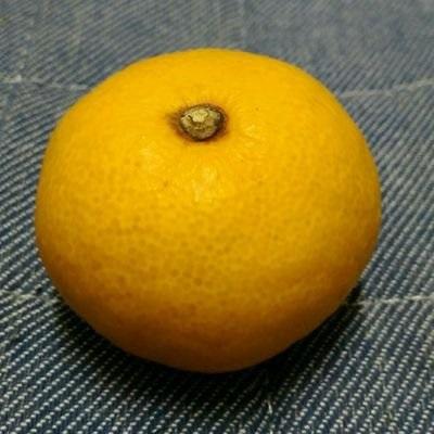 Github Shotarokataoka Shotarokataoka Github Io - Incredible Light Pattern - Full HD