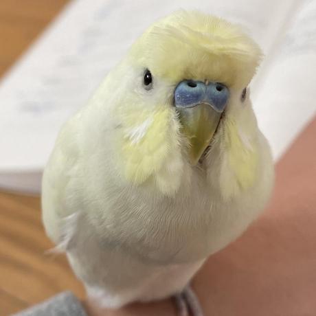 Kento Nkr Kento Tokura Github - Ocean Background Collection - 4K Quality