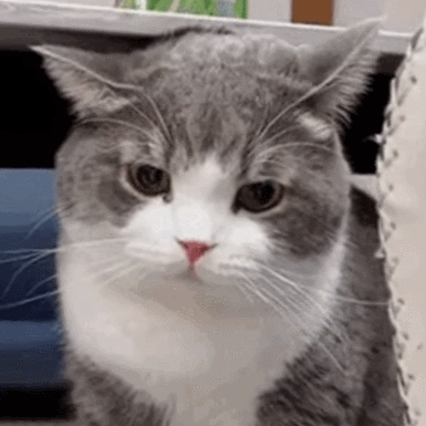 Buger404 Buger404 Github - Download High Quality Abstract Design | 8K