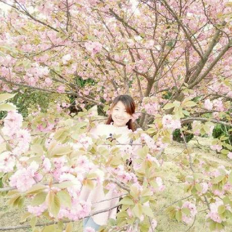 Tanixlu Tanix Lu Github - Download Stunning Sunset Pattern | Desktop