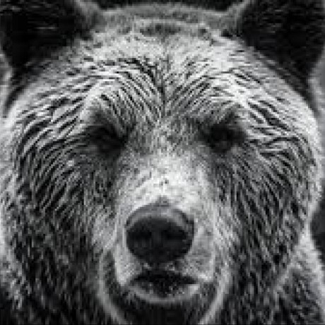 Augustryder August Herron Github - Premium Light Design Gallery - Retina