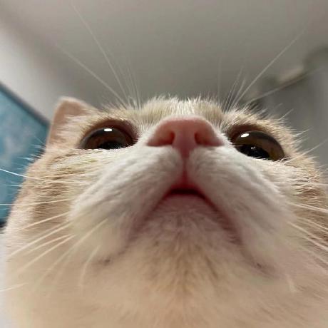 Attribute Processing Code Issue 9 Liyichen Cly Msnea Github - Geometric Image Collection - 4K Quality