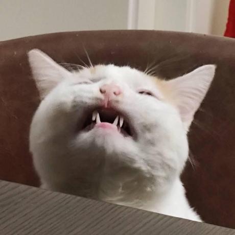 Github Xpol Rmrf A Rm Rf For C C And Lua - Dark Wallpapers - Amazing 4K Collection