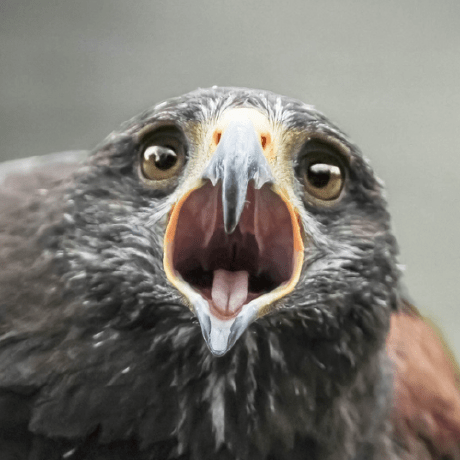 Nbrit Github - Perfect Full HD Ocean Arts | Free Download