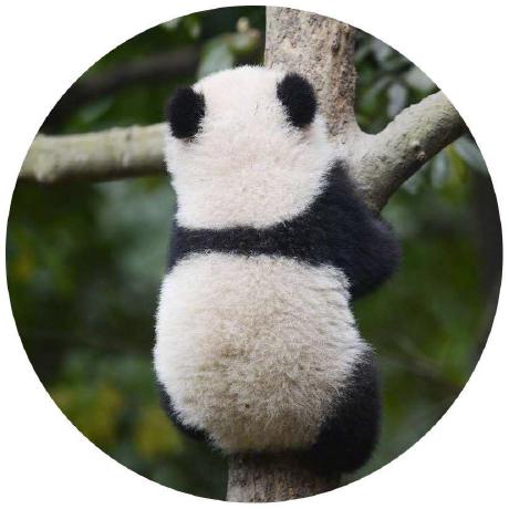 Xiangyang Github Topics Github - Vintage Wallpapers - High Quality Mobile Collection