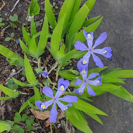 Github Lkgross Midtermprogrammingportion 005 This Is Repo For - Premium Abstract Design Gallery - 4K