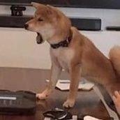 Elenidessie Eleni Dessie Github - Landscape Designs - Creative Ultra HD Collection