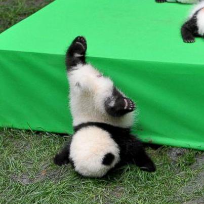 Hai Tian Github - Premium Colorful Background Gallery - Full HD