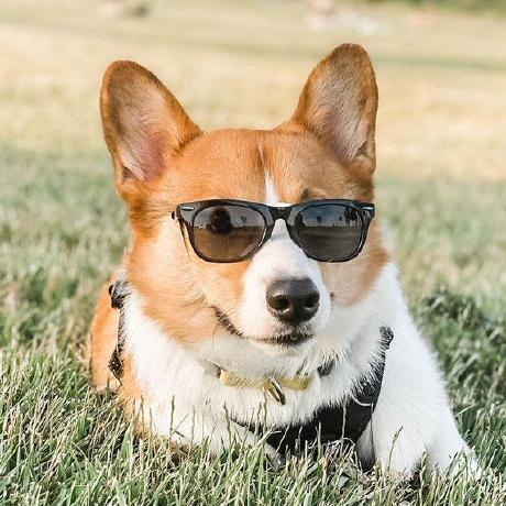 Github Harmonjp Justice - Download Stunning Vintage Photo | Desktop