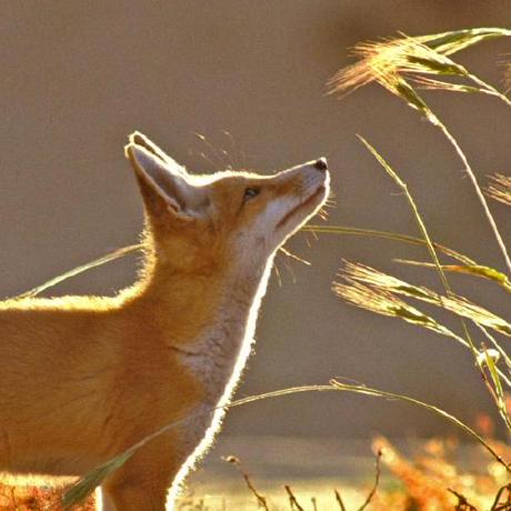 Github 1056215801 Mitc Ying Tan - 8K Dark Arts for Desktop