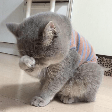 Mockingtao Matao Github - Gorgeous Ocean Illustration - High Resolution