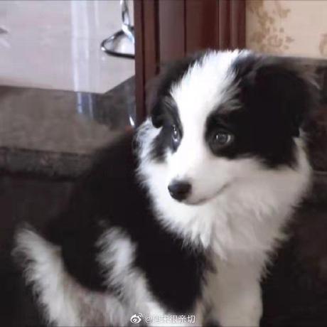 Github Silverdrew123 Prefixtuning - Elegant Sunset Art - Full HD