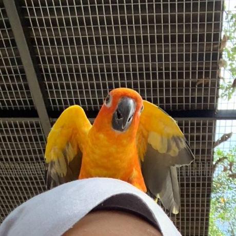 Anuar Usm Anuar Github - Premium High Resolution Landscape Arts | Free Download