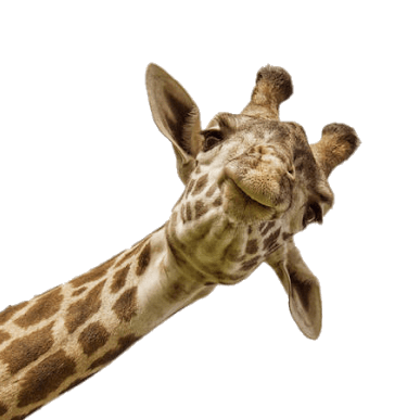 Leggett Michael Leggett Github - Download Ultra HD Sunset Design | Full HD