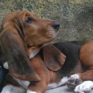 Code Diana Diana Github - Download Gorgeous Geometric Art | Desktop