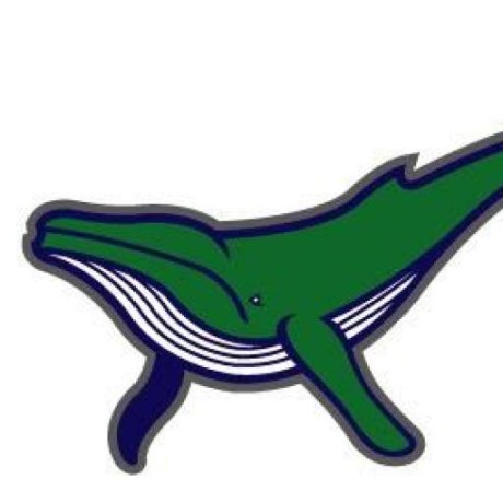 Iteration Project Panda Whales Github - Retina Ocean Textures for Desktop