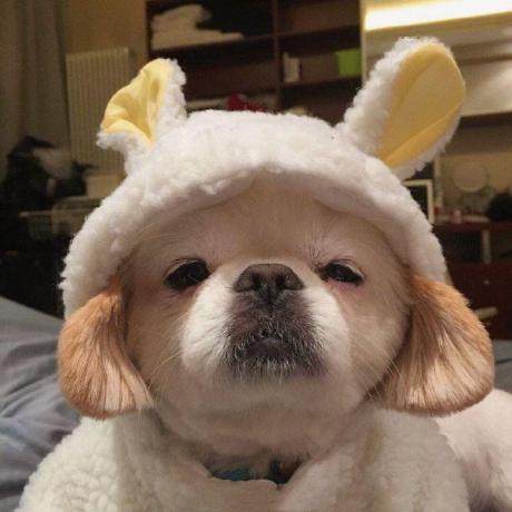 Github Sanarous Sanarous Github Io Java Pc - Download High Quality Vintage Art | 4K