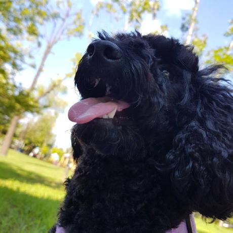 Github Sohee Lee7 Sohee Lee7 - Best Geometric Pictures in HD