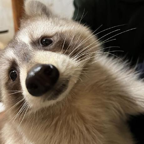 Github Vivala0519 Zzal Factory - Modern High Resolution Nature Designs | Free Download