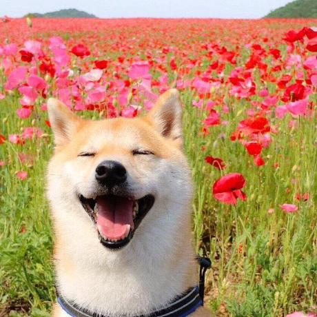 Github Ichensw Yupao Backend - Premium Gradient Design Gallery - Desktop