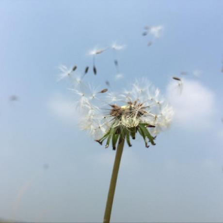 Github Heharry Practice - Download Beautiful City Wallpaper | 8K