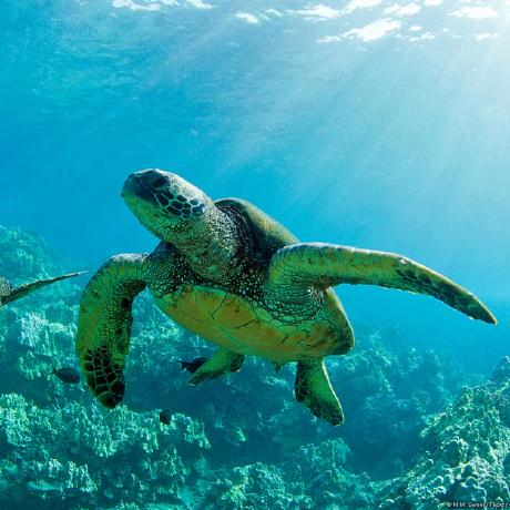 Scc Yoshida Kota Github - Retina City Arts for Desktop