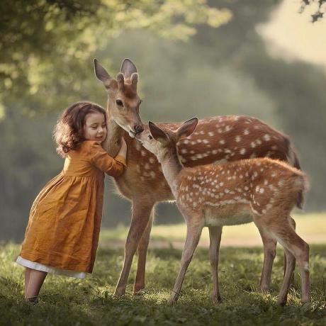 Dreamerjackson Jonson Github - Minimal Photos - Modern 8K Collection