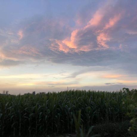 Github Te Chih Machine Learning Study Path March 2019 A Complete Ml Study Path Focused On - Geometric Photos - Elegant Mobile Collection