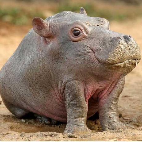 Github Kaslee14 Sa Tws - Stunning Full HD Ocean Wallpapers | Free Download