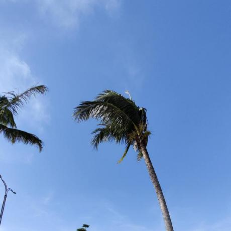 Mary Wj Github - Artistic Geometric Illustration - Ultra HD