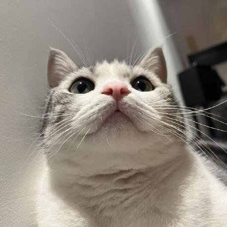 Github Octoberck Genshinhelper - Gradient Pattern Collection - High Resolution Quality