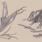 Coltongrainger Colton Grainger Github - Premium Geometric Texture Gallery - Retina