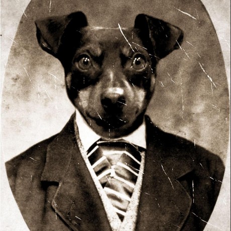 Github Wuyeyuan Timegan Gan - Download Premium Nature Design | 4K