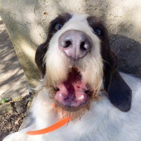 Gabor7d2 G Bor Github - Geometric Arts - Artistic Desktop Collection