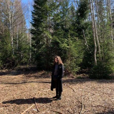 Lpestov Lev Pestov Github - Premium Sunset Design Gallery - Retina