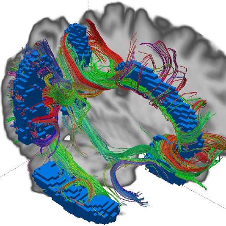 Jamellebrown J Brown Github - Gradient Wallpaper Collection - Retina Quality