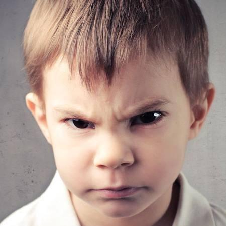 Astor Github - Download Premium Nature Photo | 4K