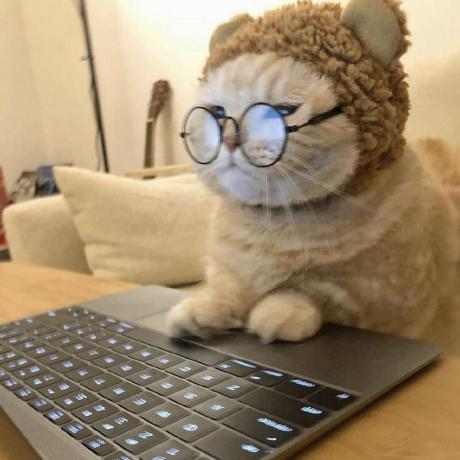 Petracoding Petra Github - Best City Arts in 8K